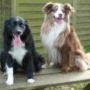 Socke und Neelah